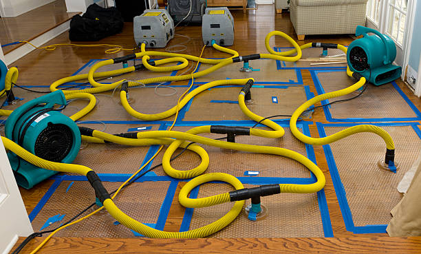 Professional Structural Drying And Dehumidification technician working in Shalimar, FL